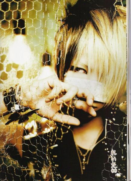 Reita